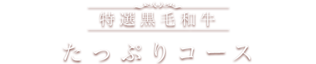 たっぷりコース